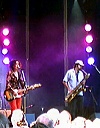 Cactusfestival 2003